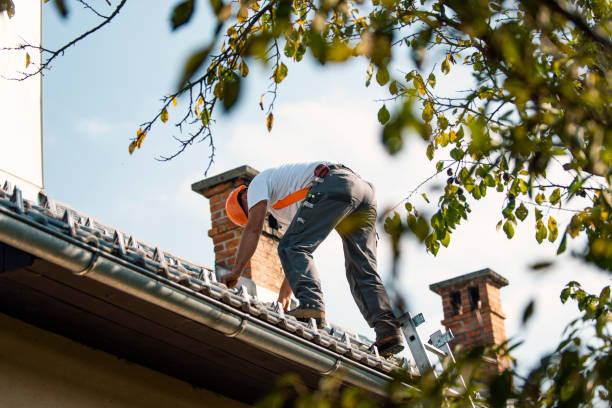 Best New Roof Installation  in Franklinville, NJ