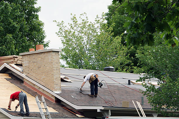 Best Roof Gutter Cleaning  in Franklinville, NJ