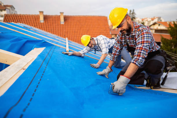 Best Roof Restoration Services  in Franklinville, NJ